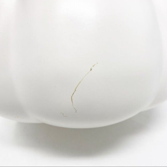 Rae Dunn Harvest Pumpkin Storage NEW - Picture 9 of 9